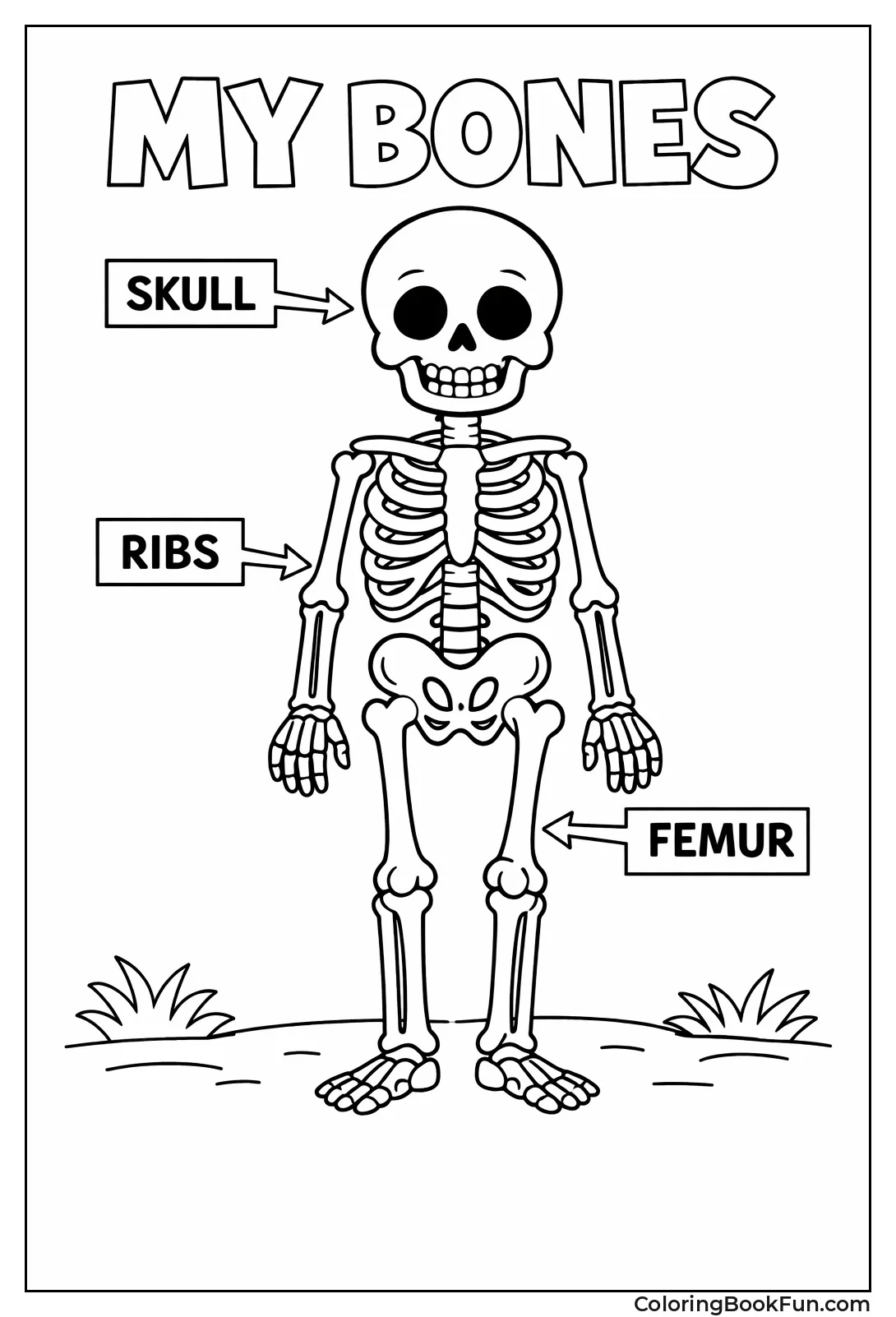 Labeled Full Body Skeleton