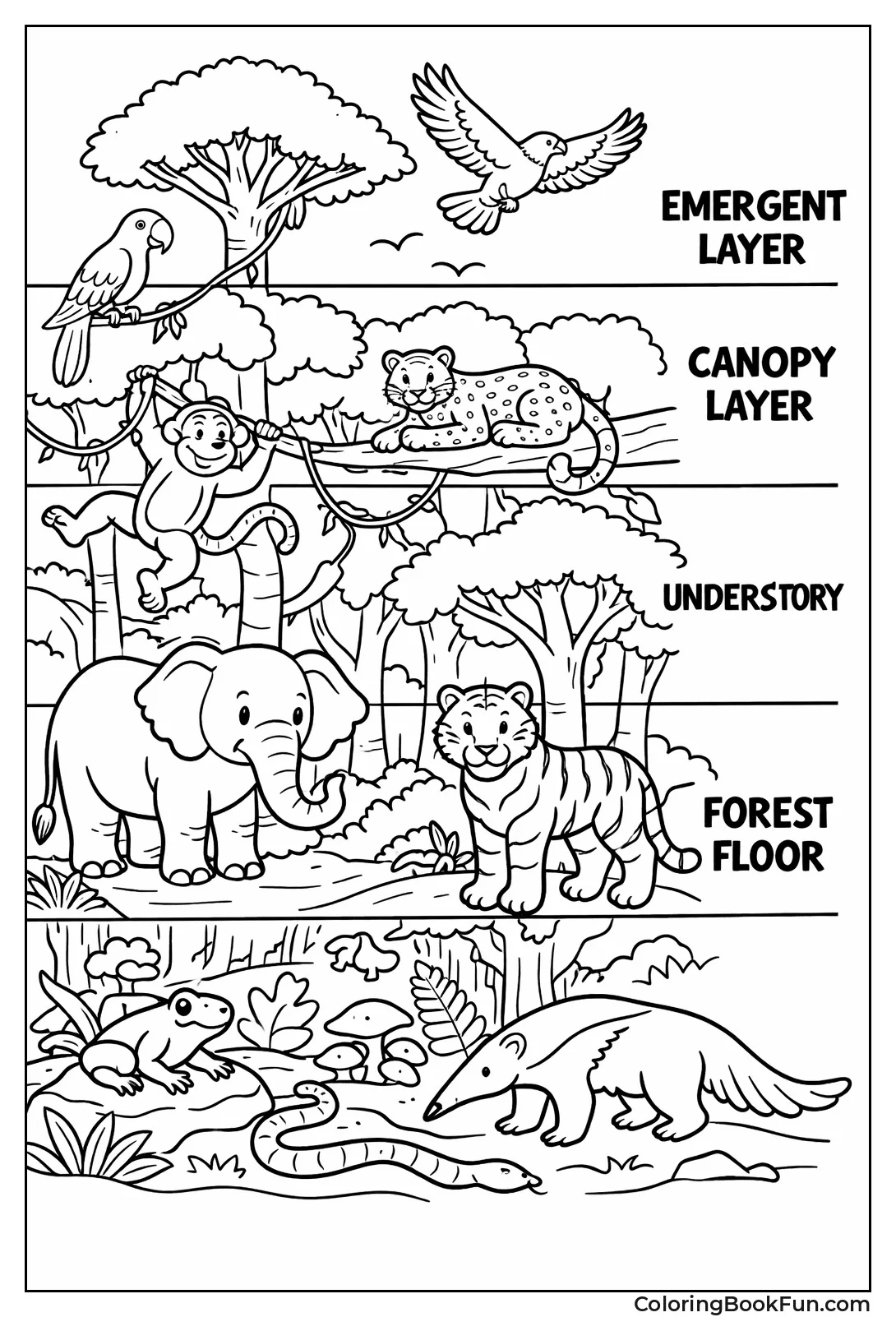 Jungle Layers Show Animals