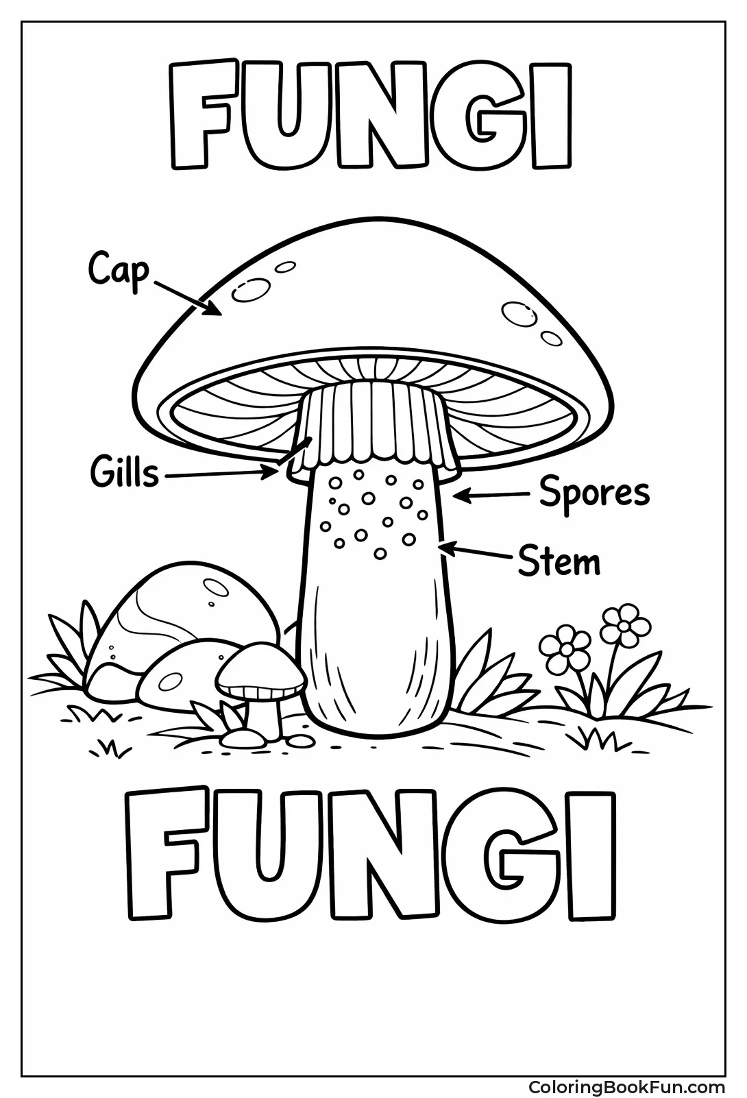 Mushroom Shows Inner Parts