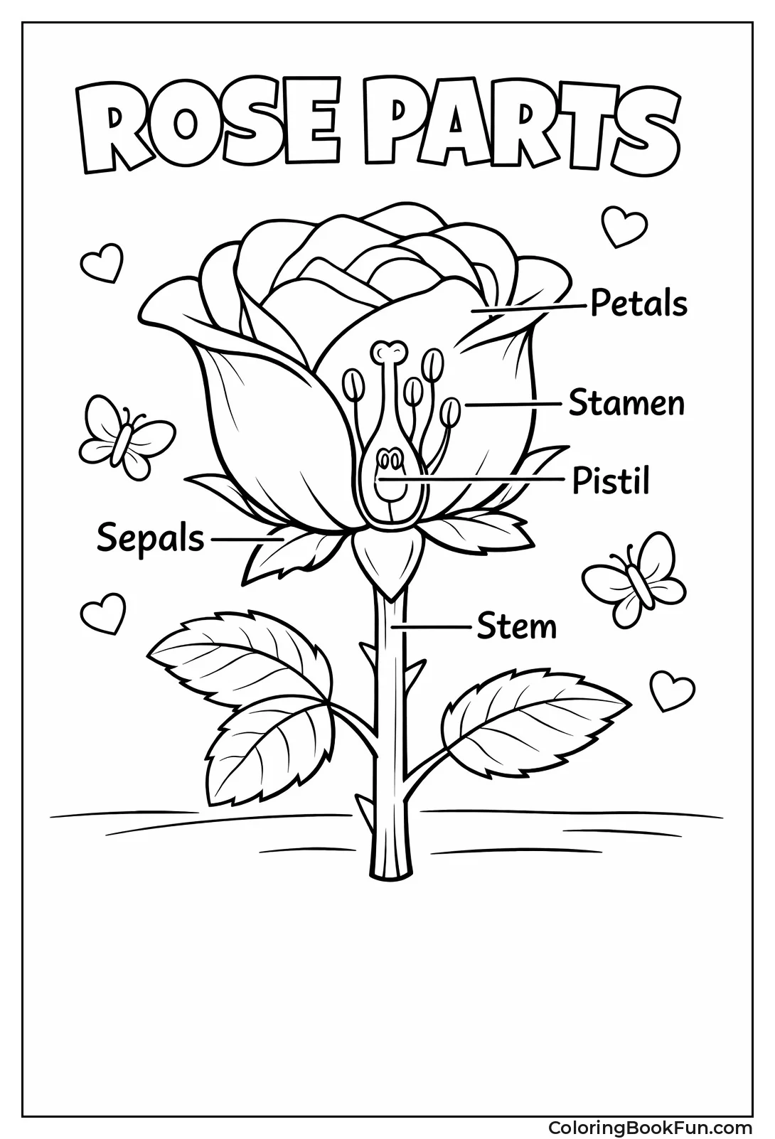 Labeled Rose Parts