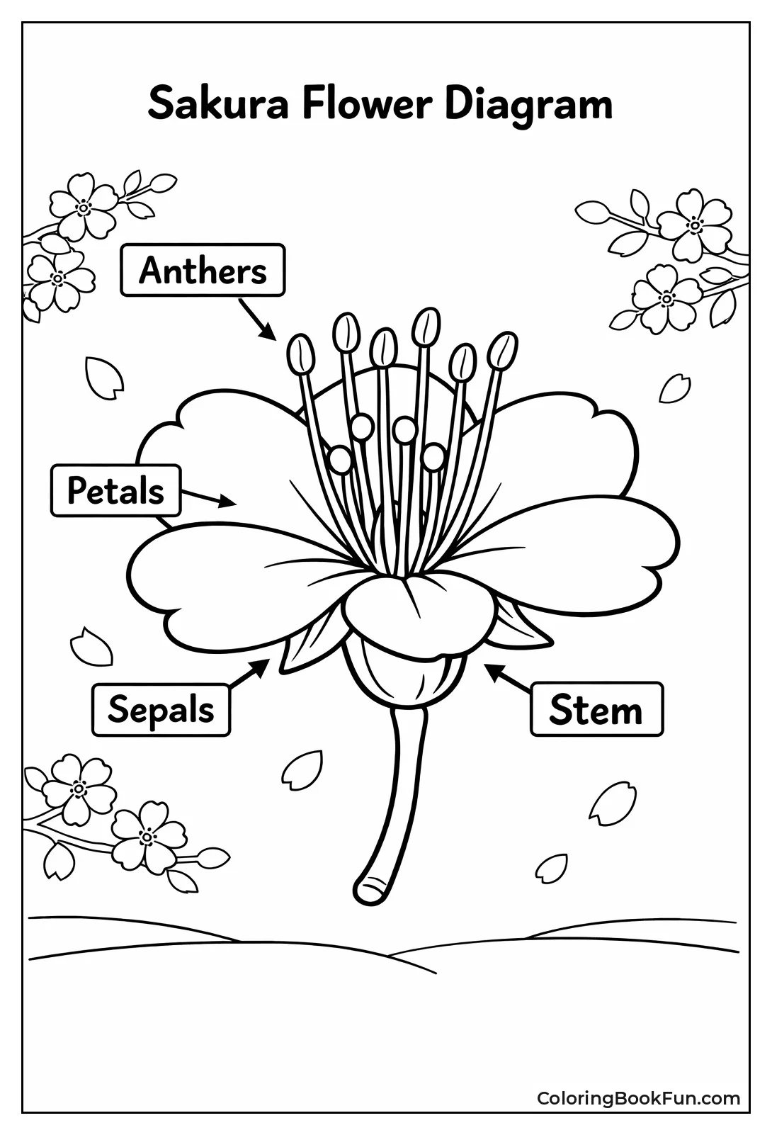 Labeled Flower Parts