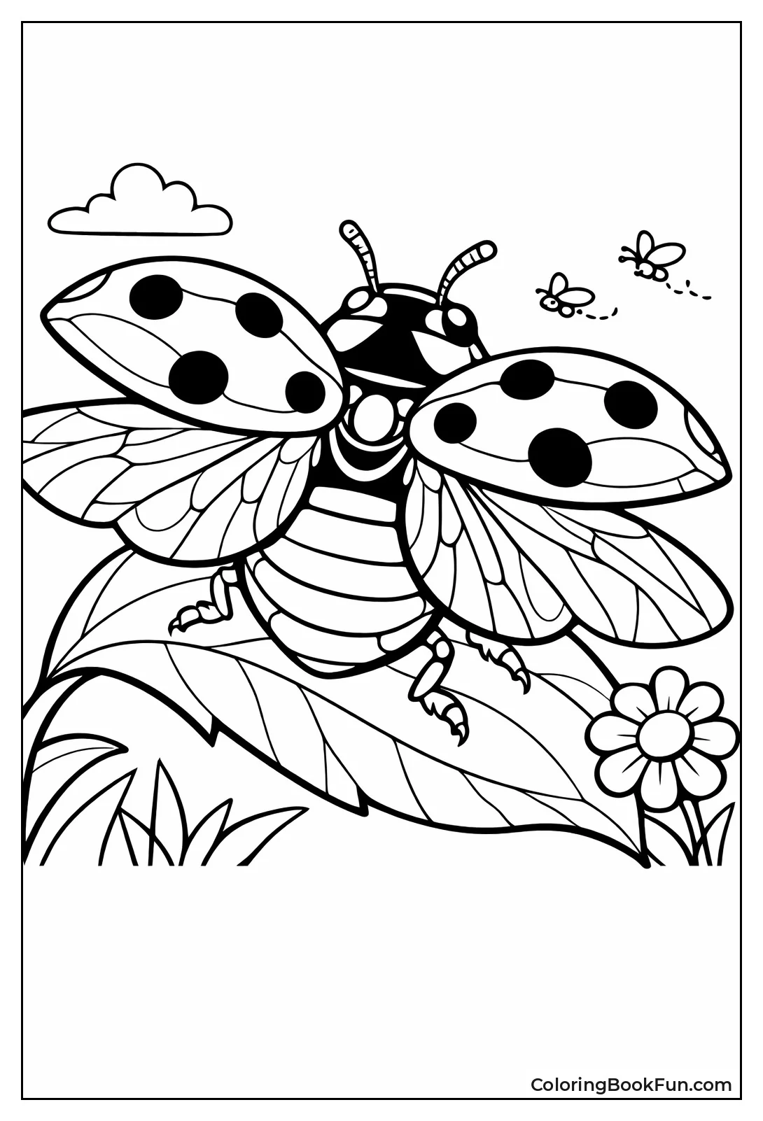 Open Wings Vein Details