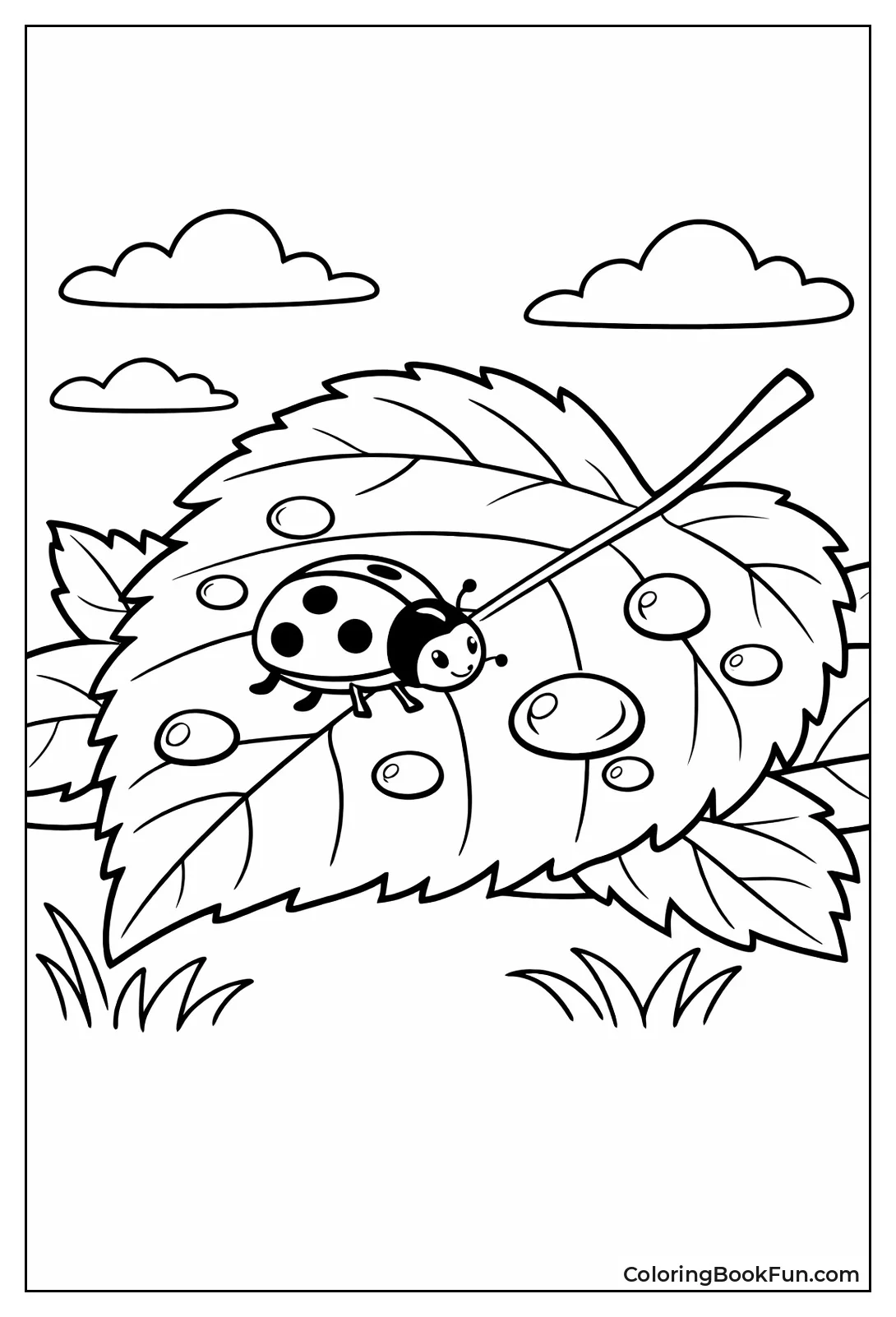 Ladybug on Dewy Leaf