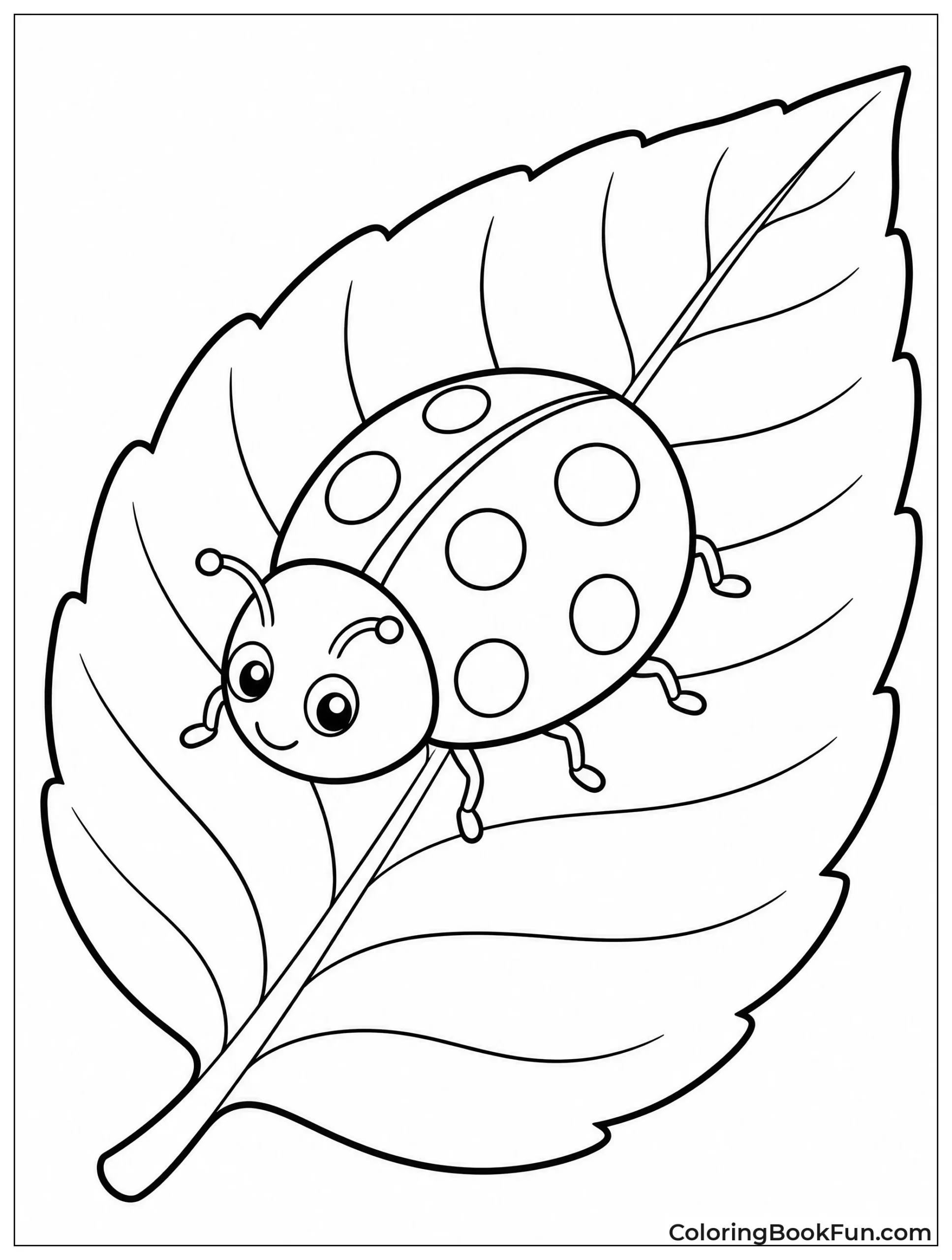 Ladybug Resting on Leaf