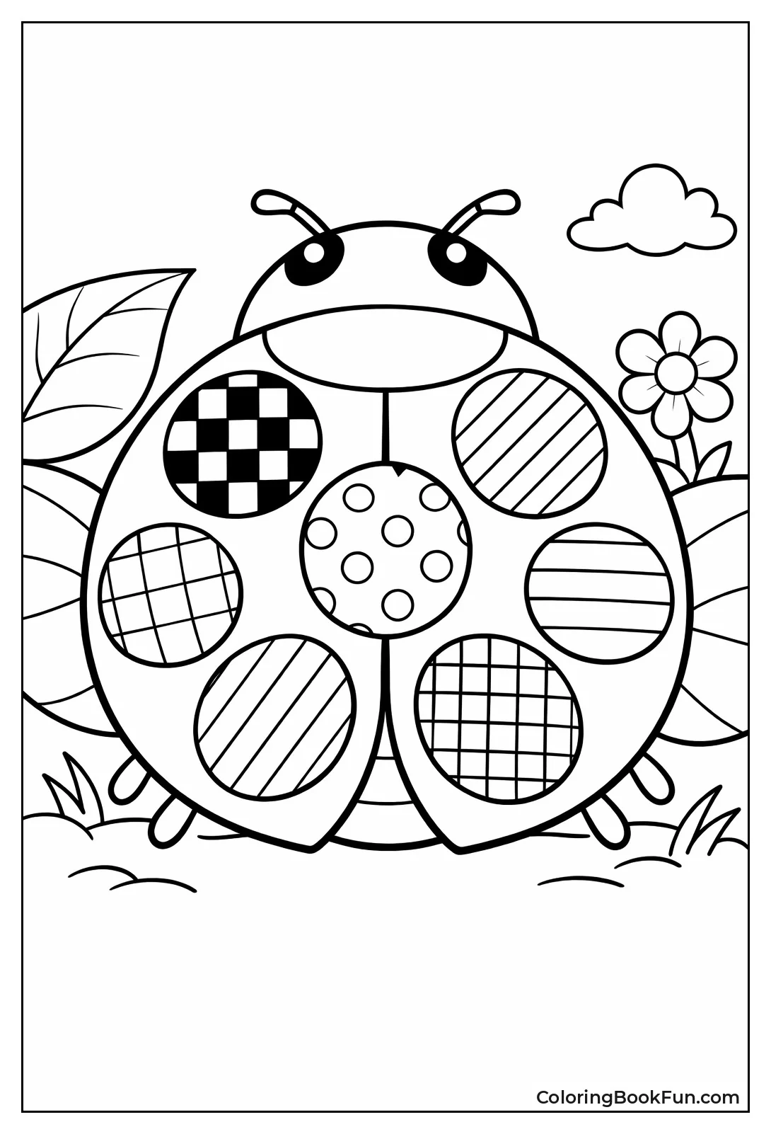 Patterned Spots on Elytra