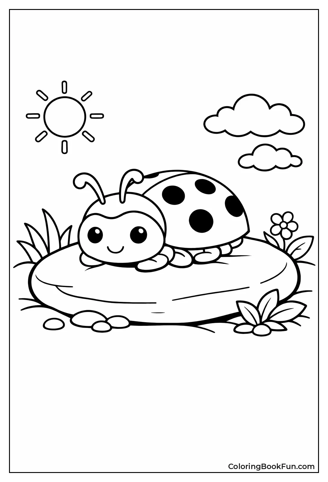 Ladybug Sunbathing on Pebble