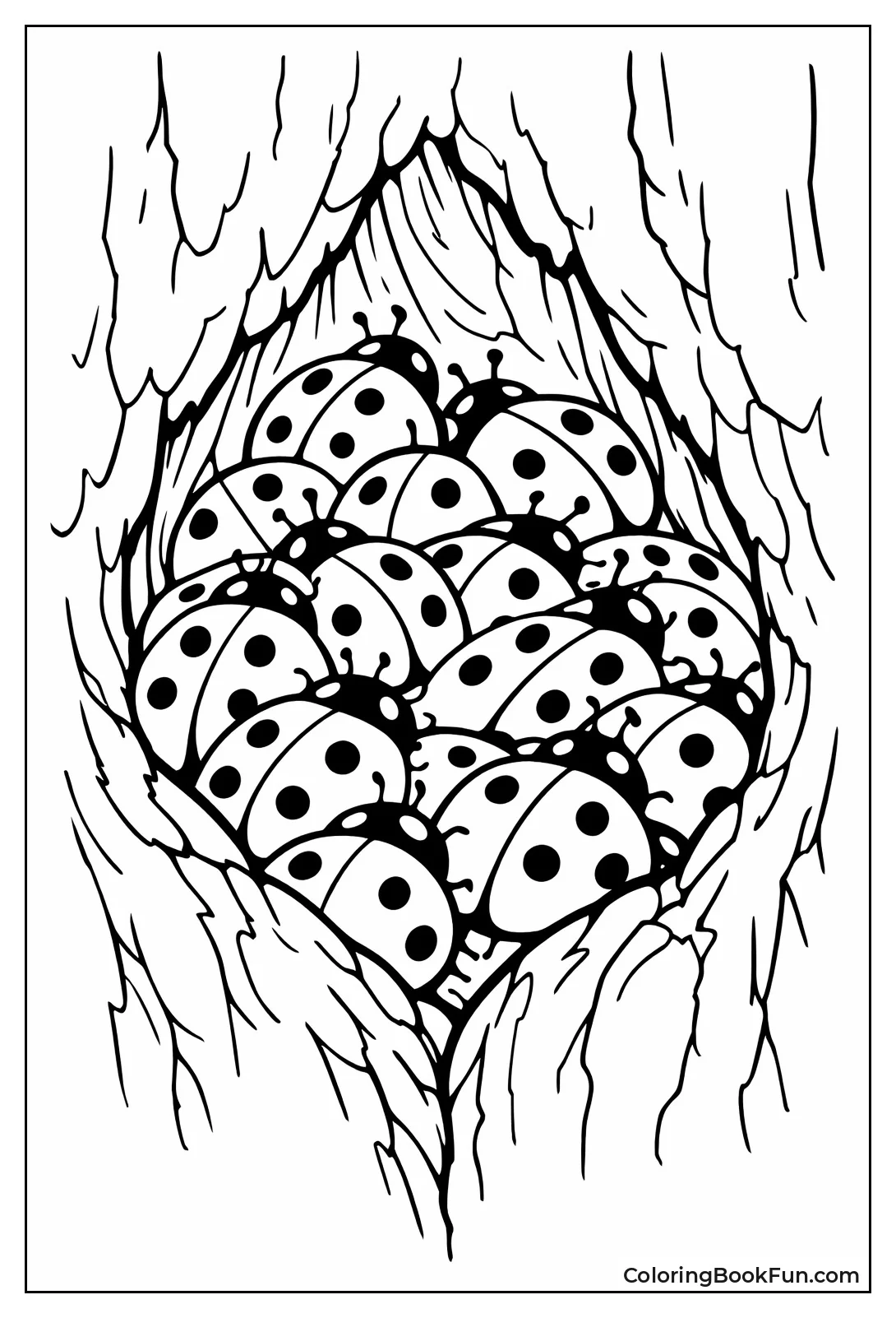 Ladybugs Hibernating in Bark