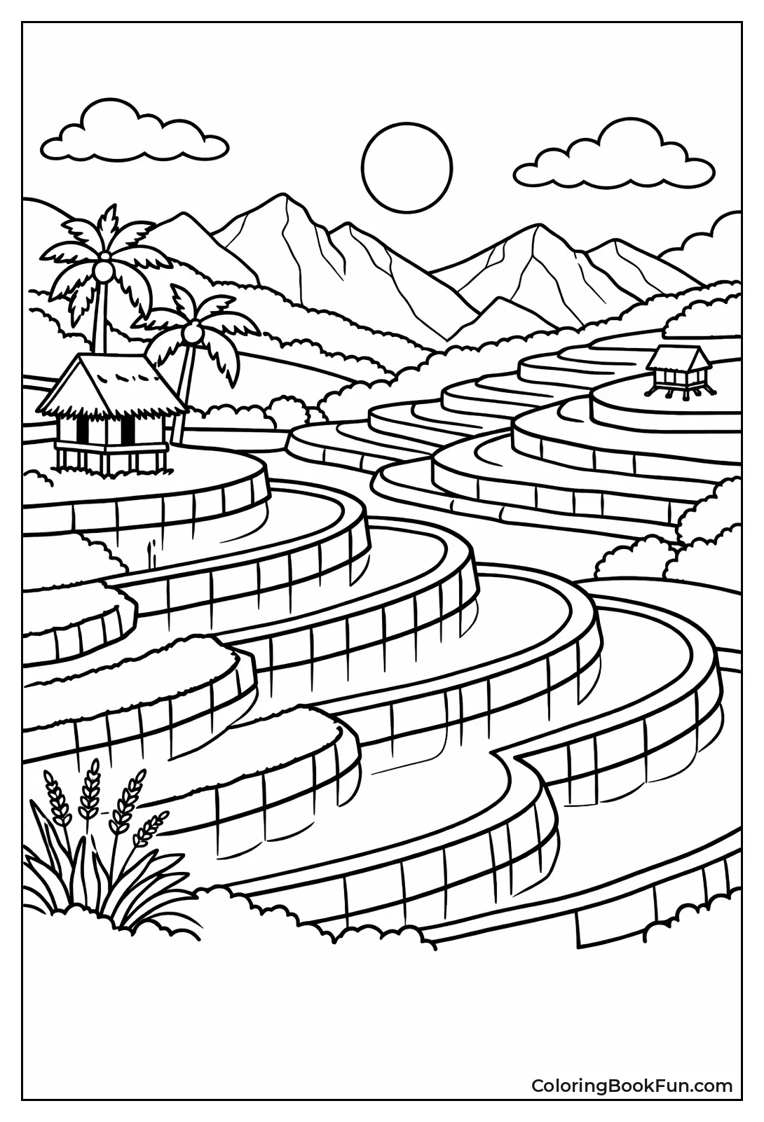 Rice Paddies Step Down Hills