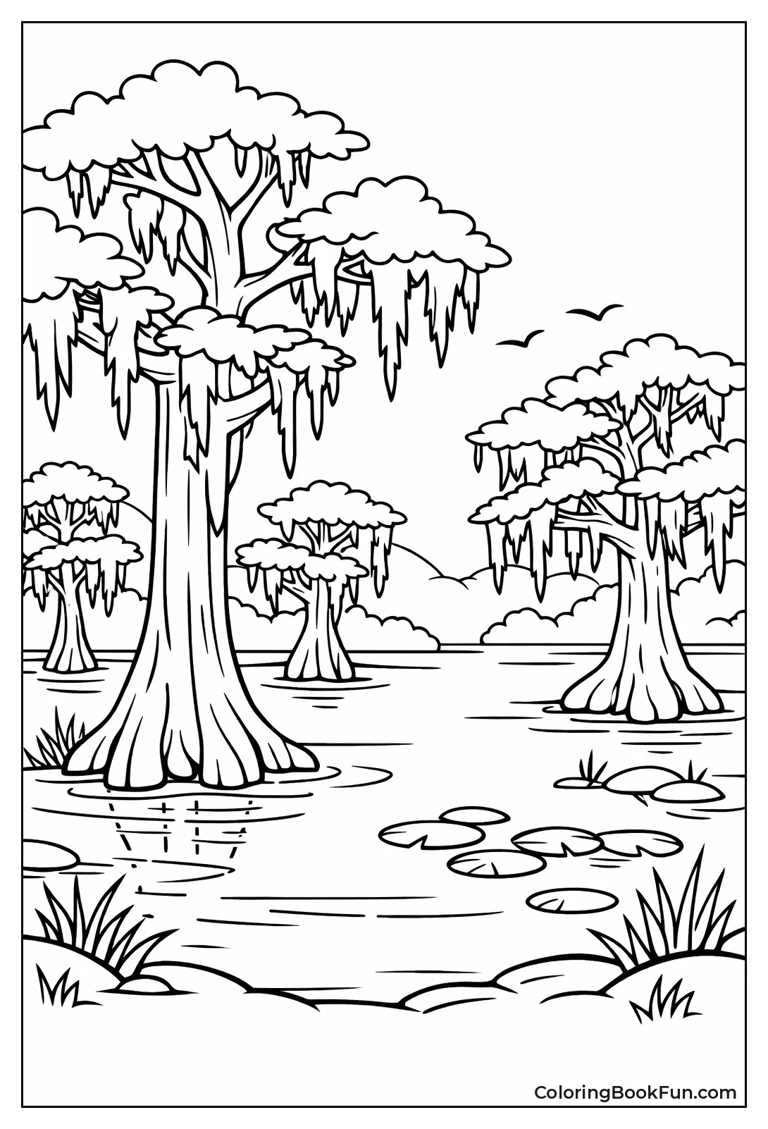 Cypress Rise from Swamp Waters