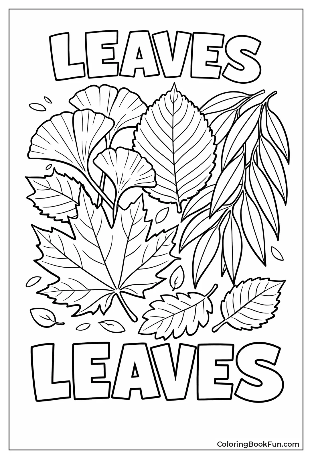 Collection of Tree Leaves