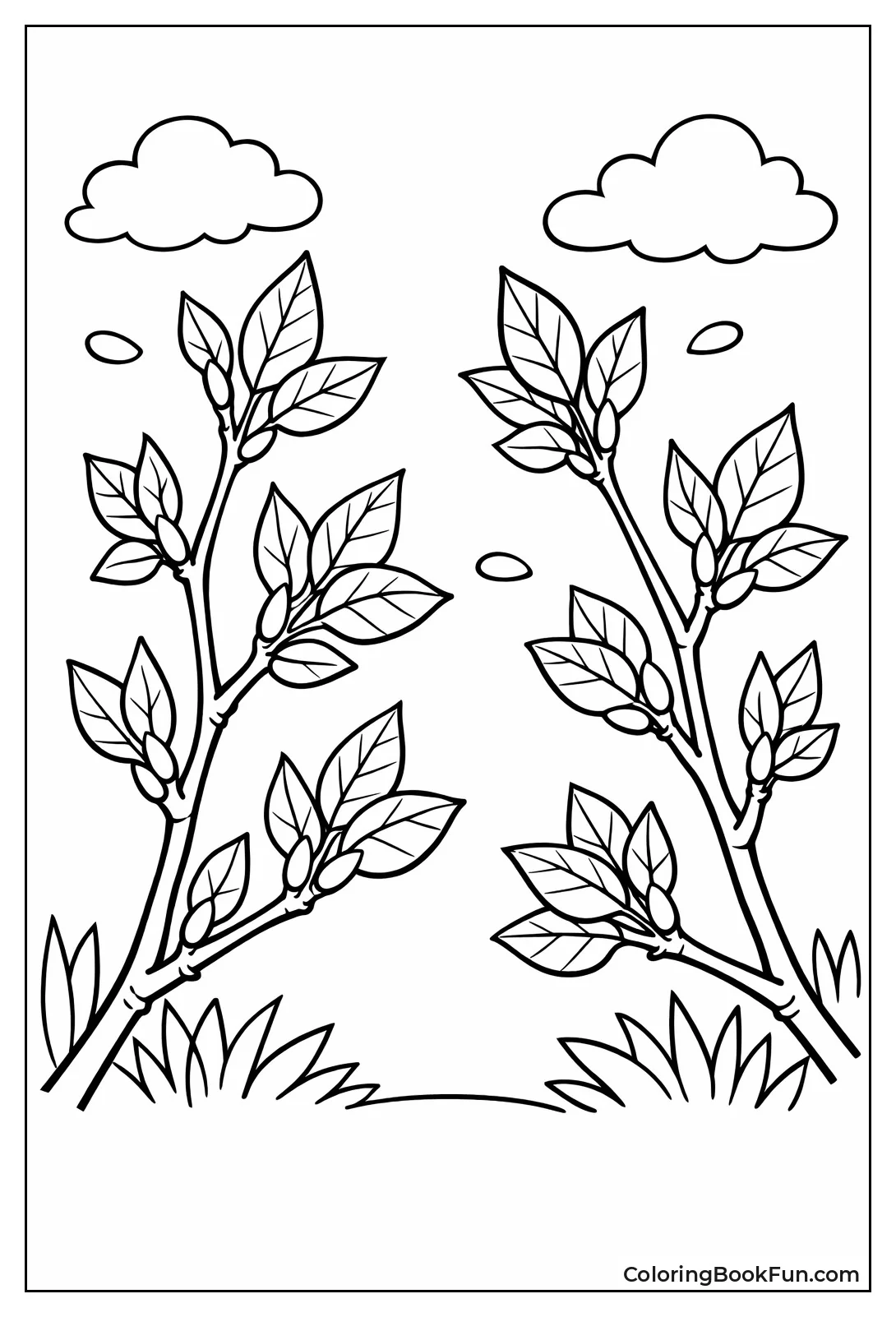 Spring Budding Green Leaves