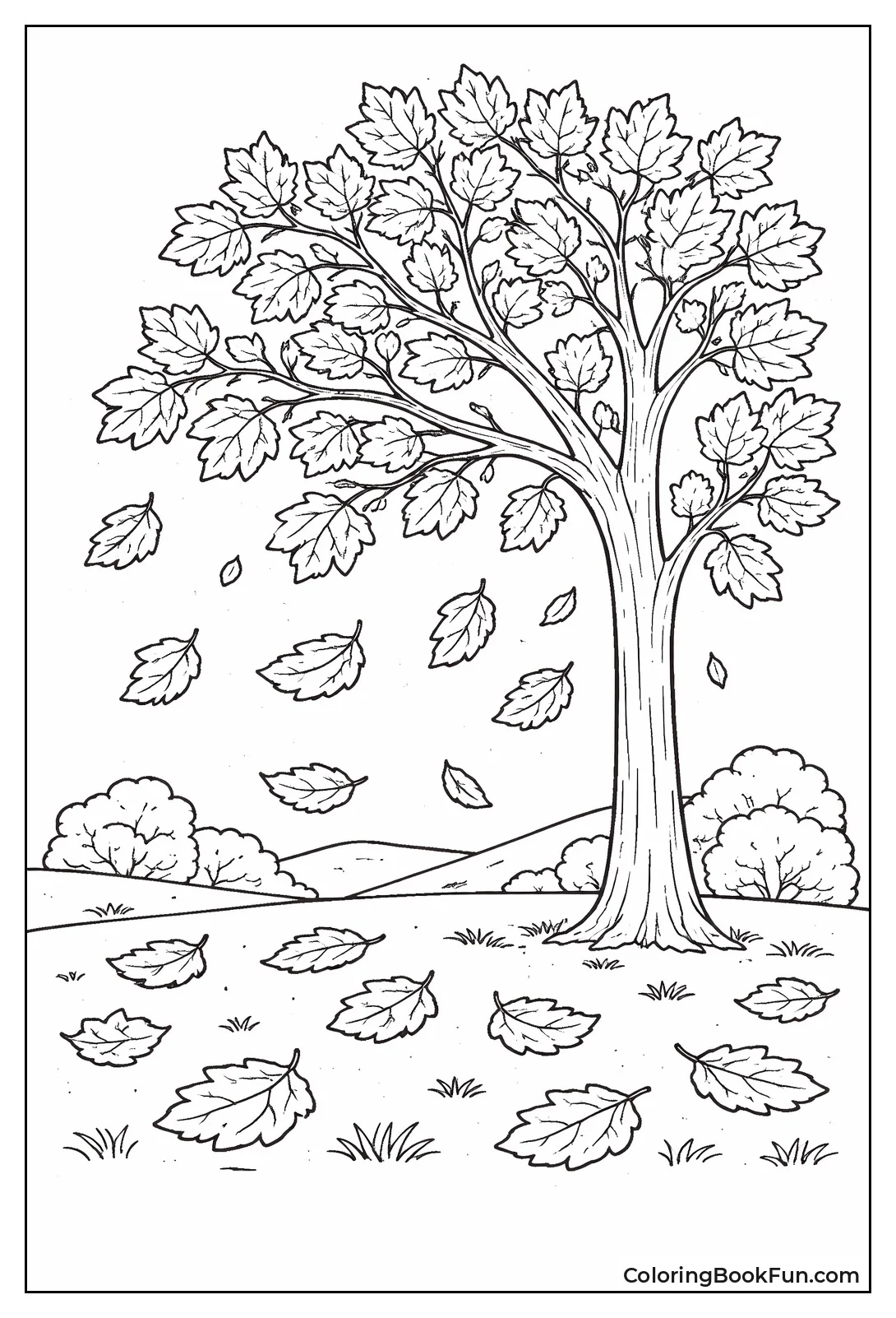 Tree Shedding Fall Leaves