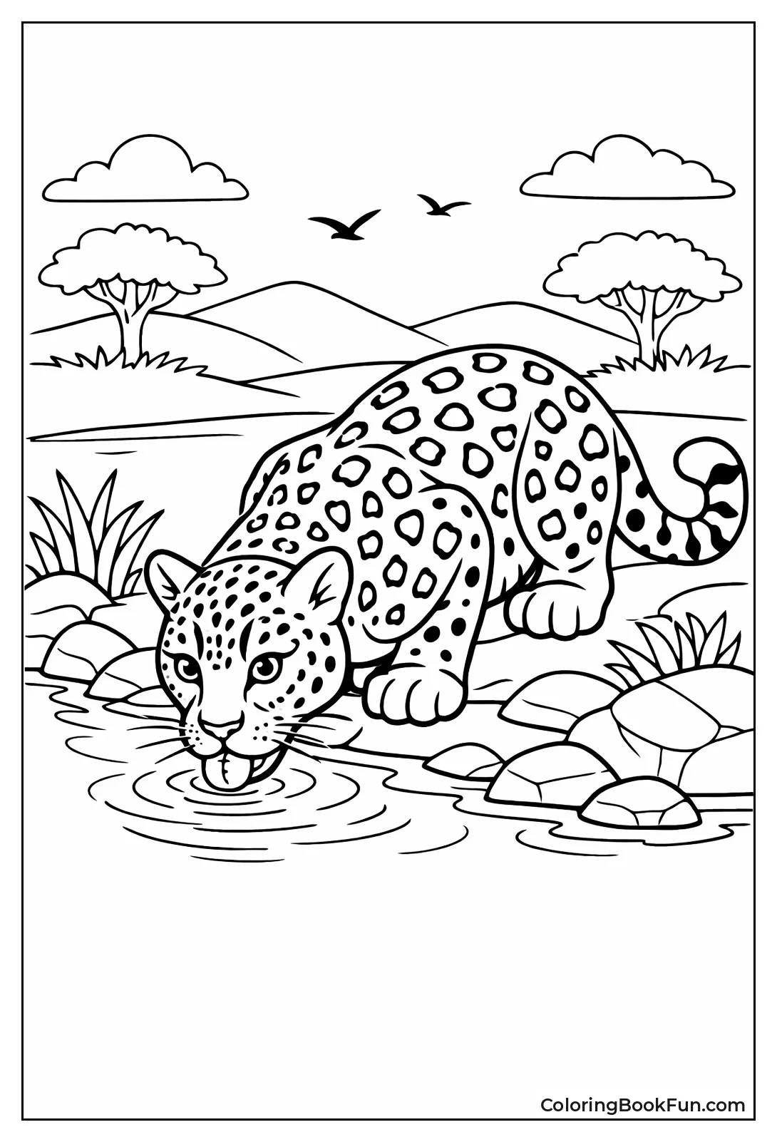 Leopard Lapping at Waterhole