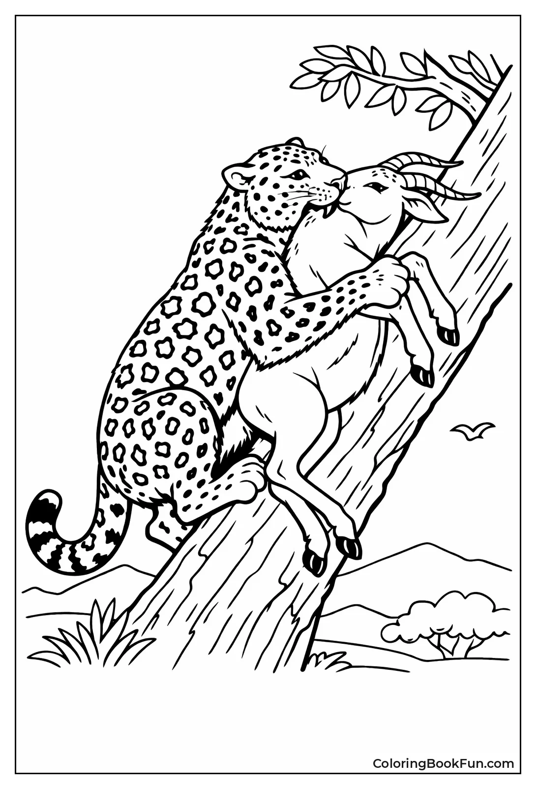 Leopard Drags Gazelle Up Tree
