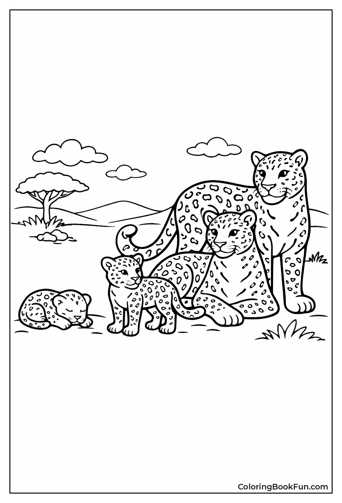 Leopard from Cub to Adult