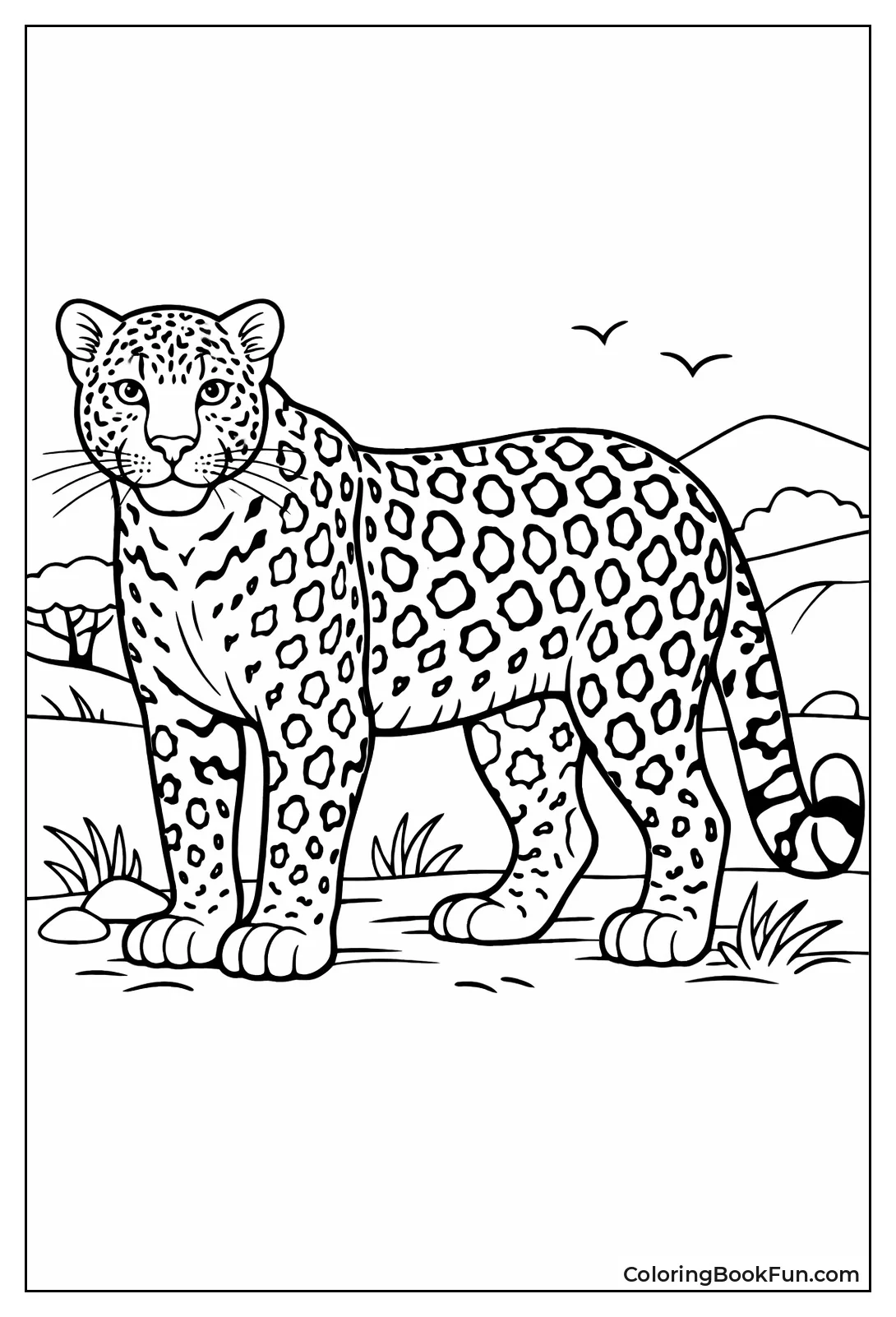 Leopard Showing Rosette Patterns