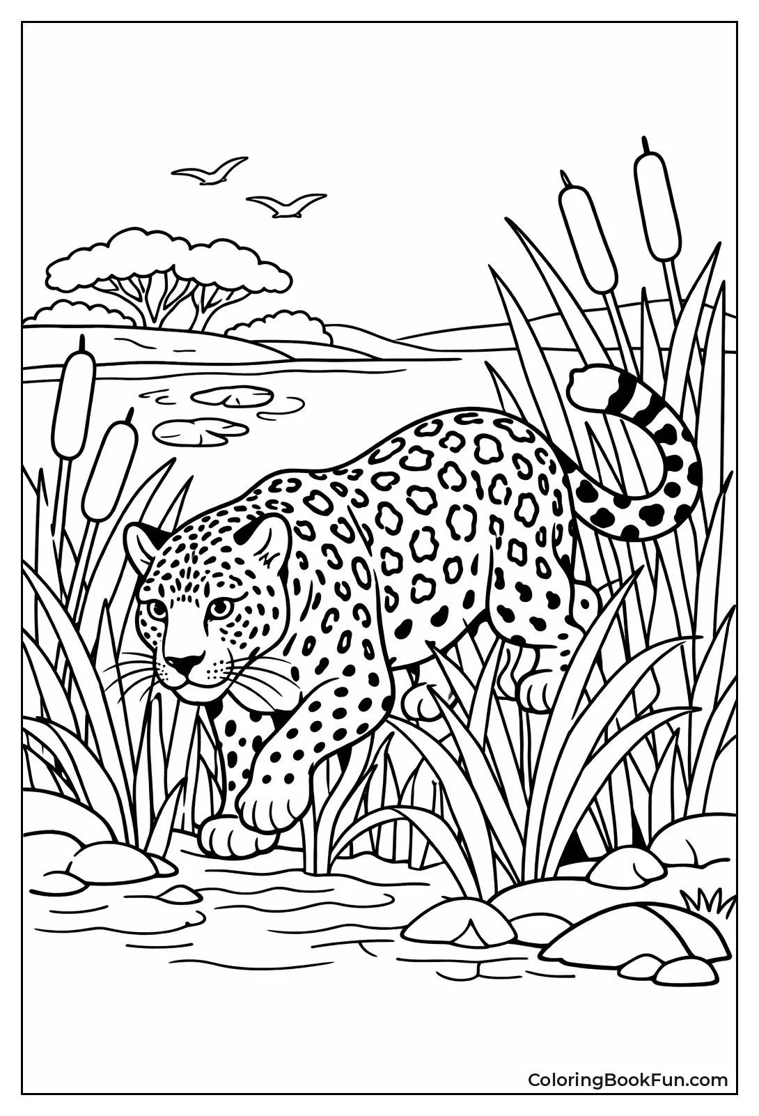 Leopard Walking Through Reeds