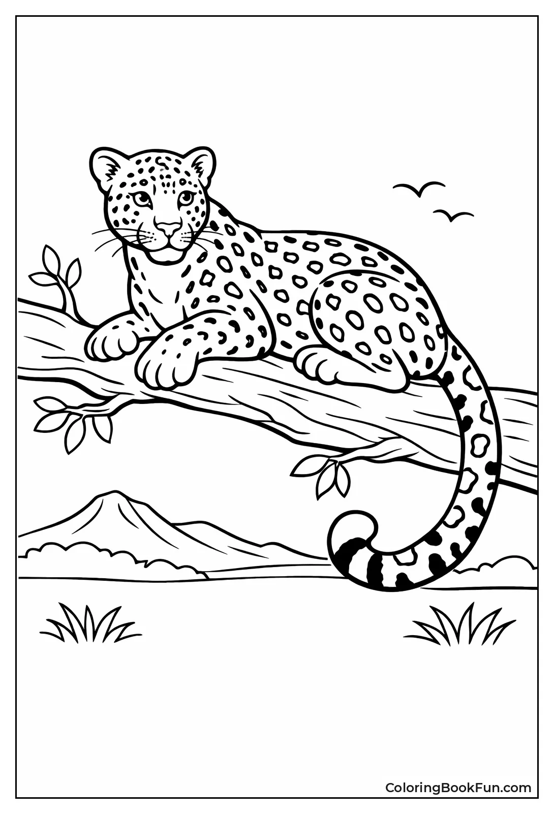 Leopard Balancing Long Tail