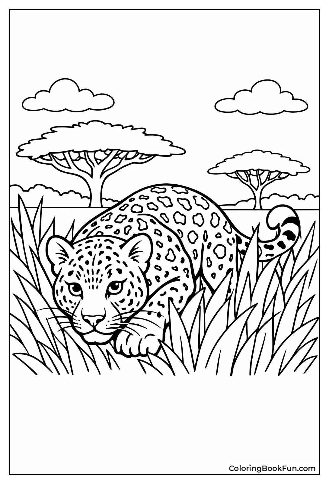 Leopard Crouching in Grass