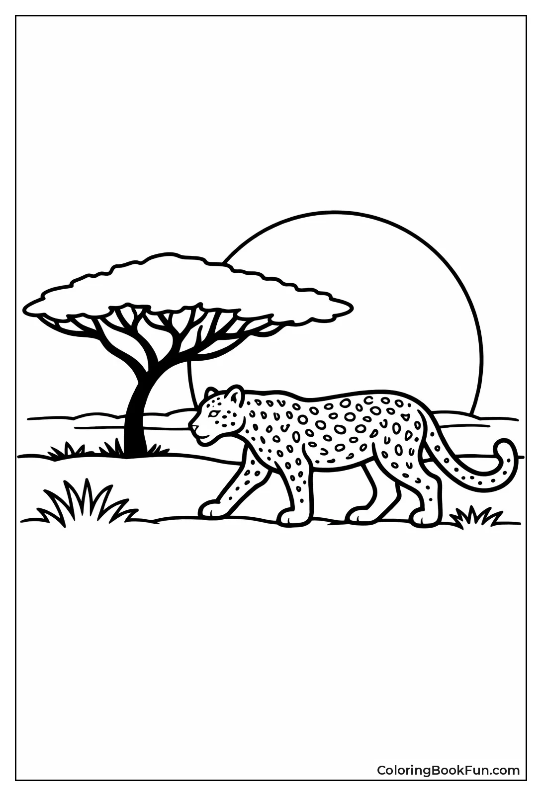 Leopard Silhouette at Sunset