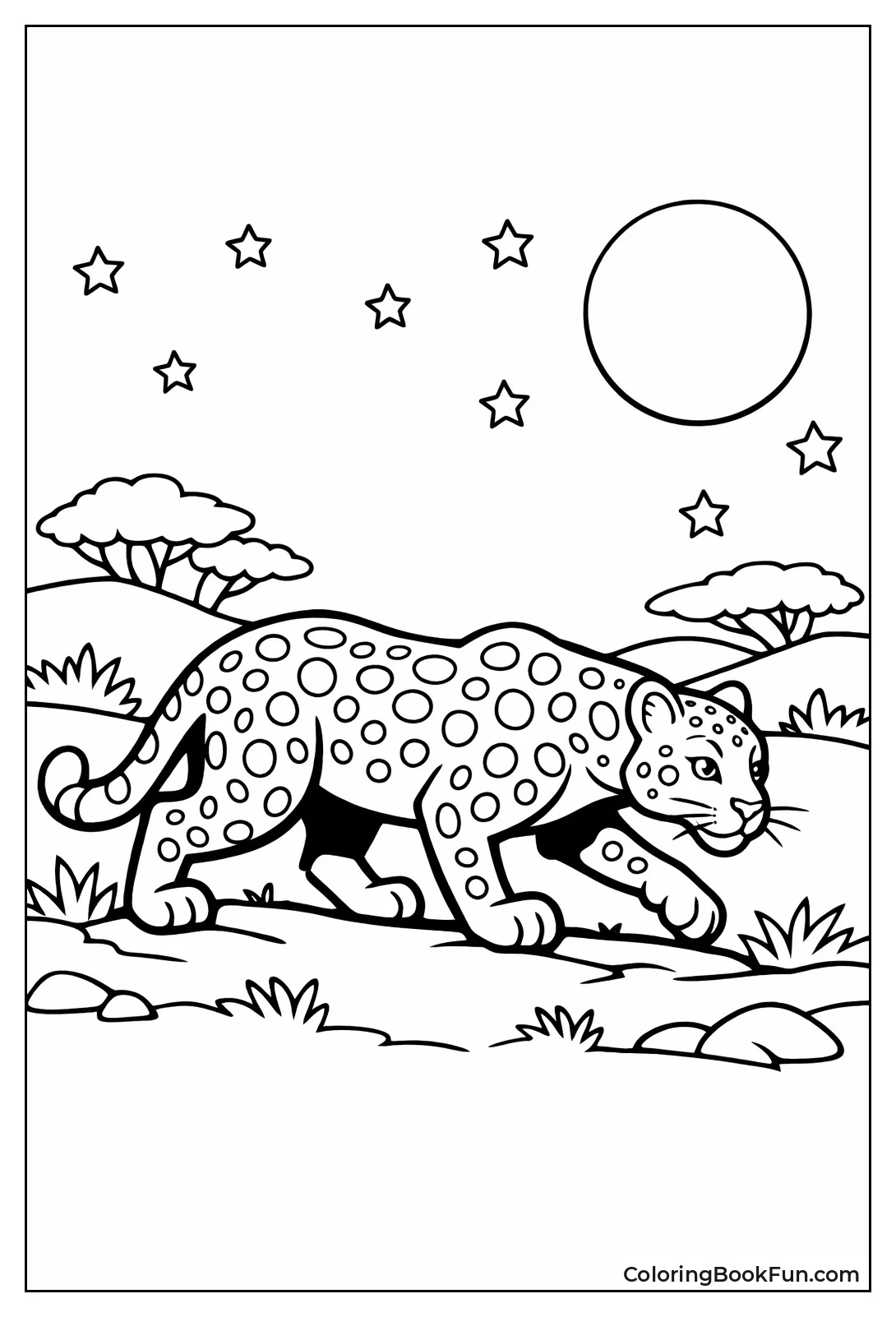 Silhouette Leopard Night Hunt