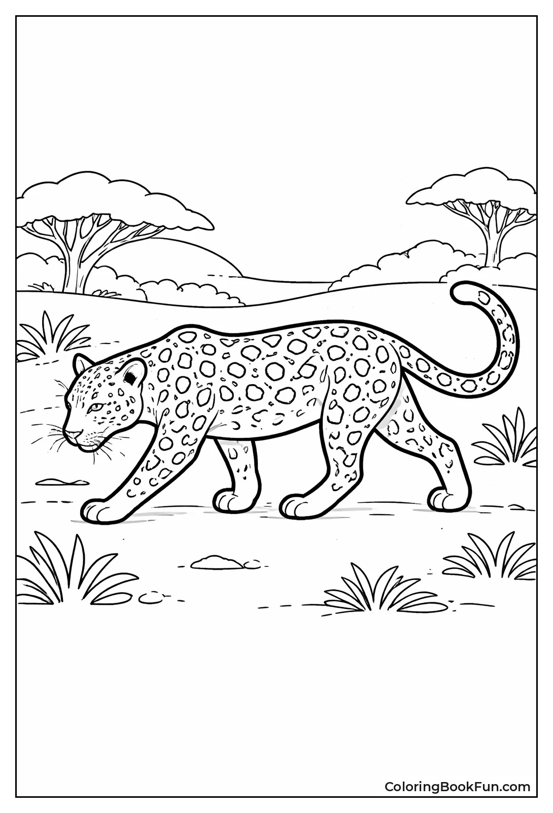 Stealthy Leopard Profile Walk