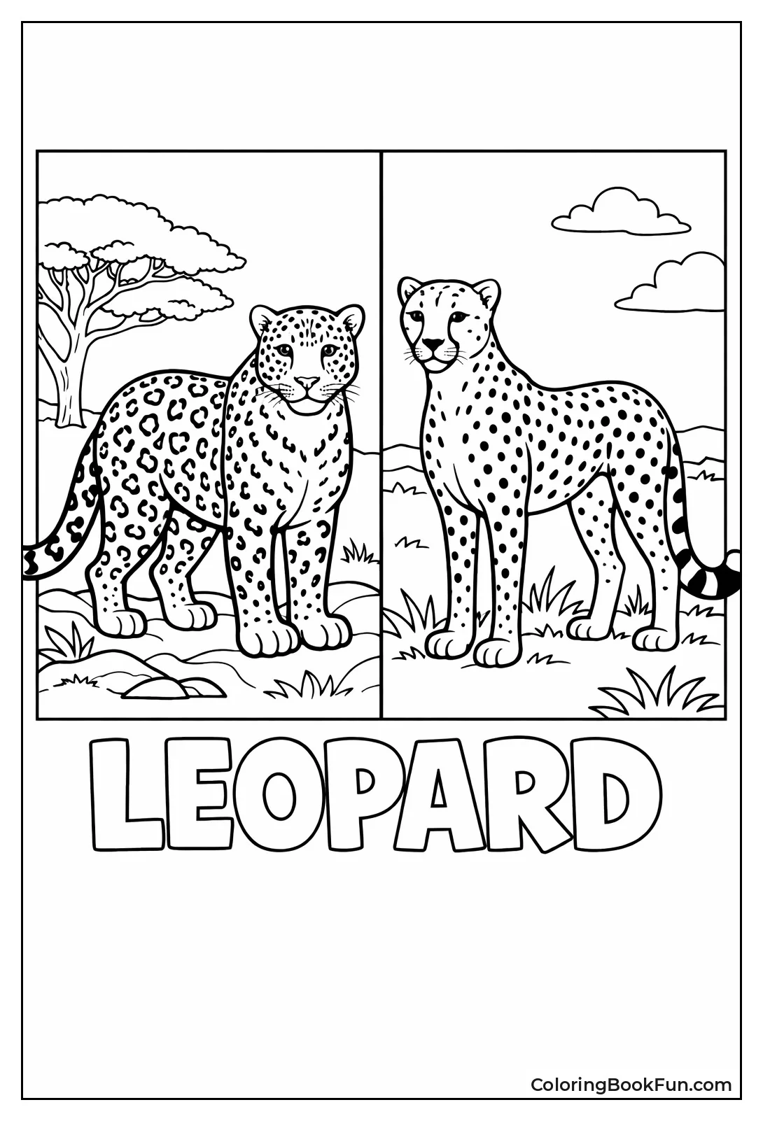 Leopard and Cheetah Side by Side