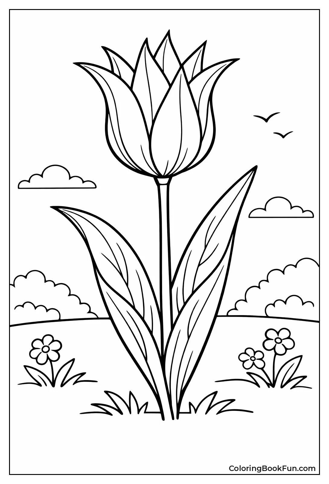 Lily Tulip with Pointed Petals