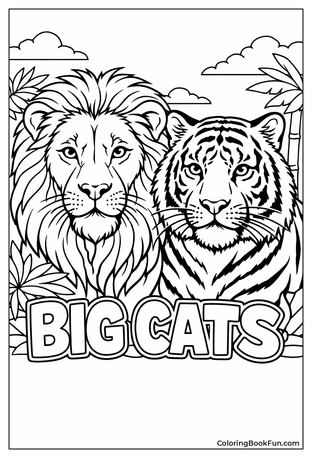 Close-Up Lion Tiger Faces