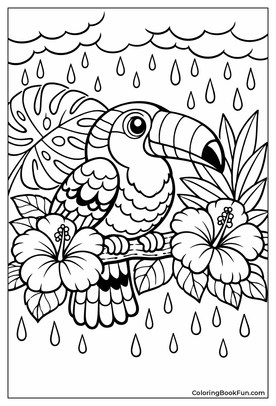 Toucan Perches Hibiscus Branch