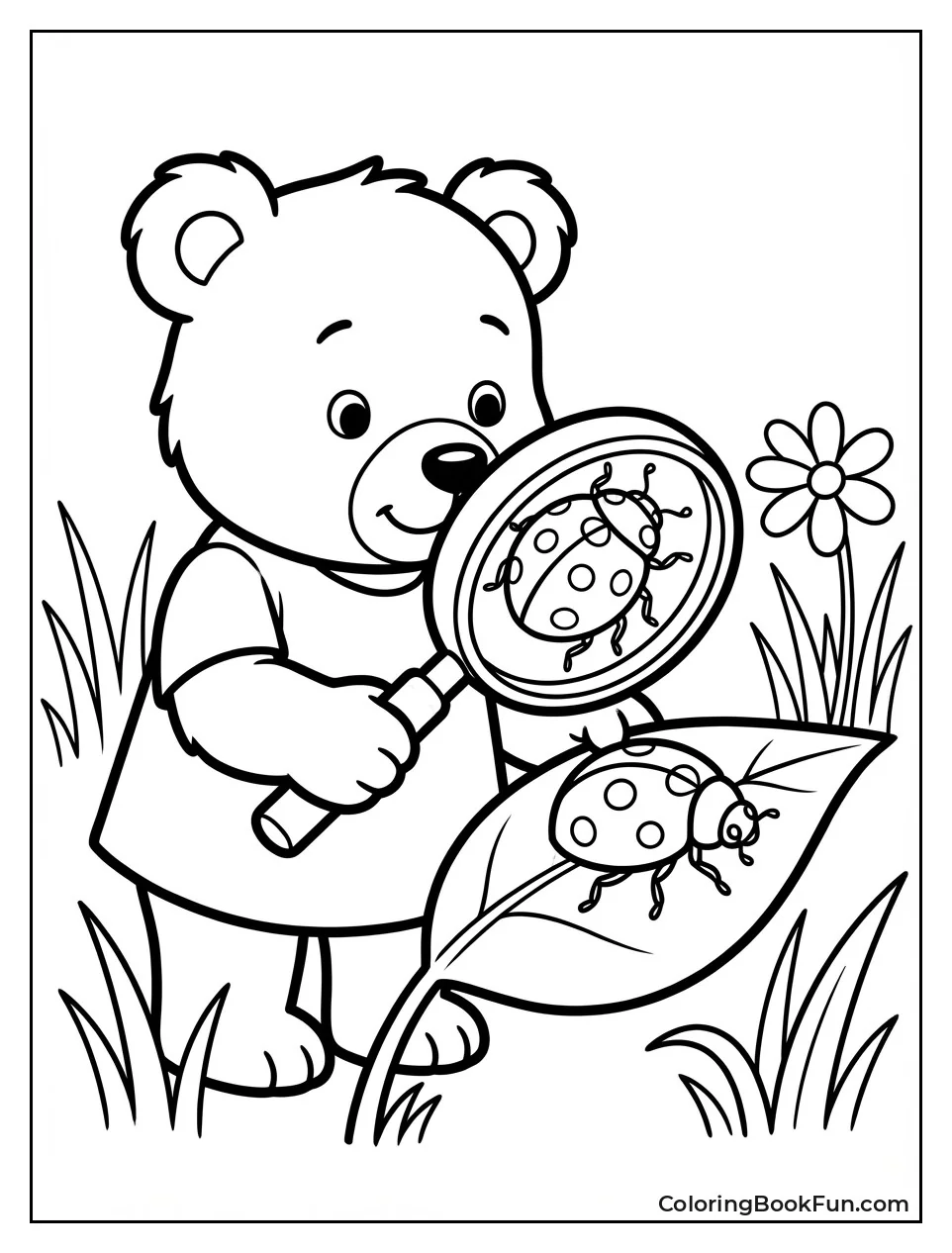 Little Bear Studies Ladybug