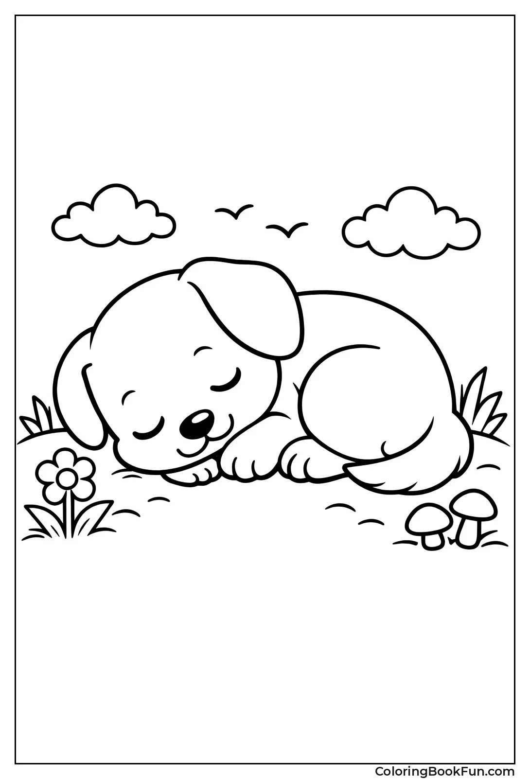 Curled Up Little Dog