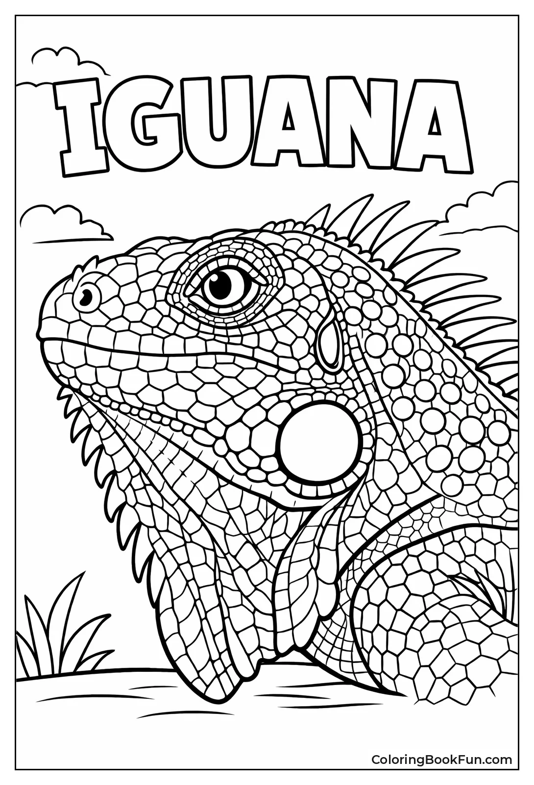 Iguana Head Shows Scales
