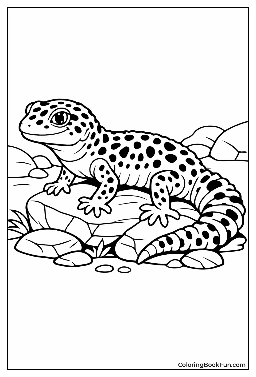 Spotted Leopard Gecko on Rocks