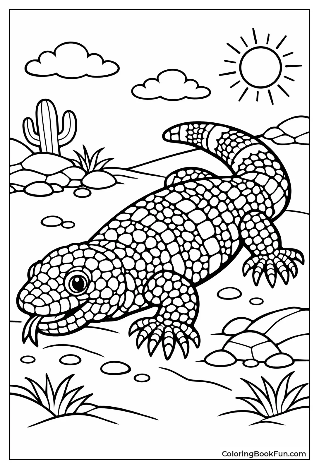 Gila Monster Displays Patterns