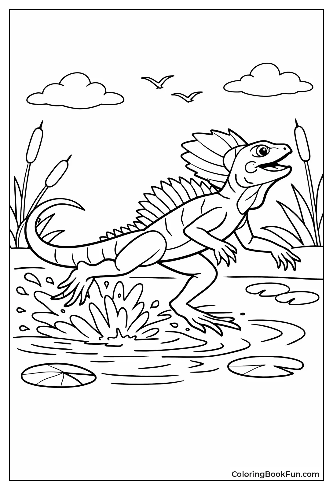 Basilisk Lizard Runs on Water