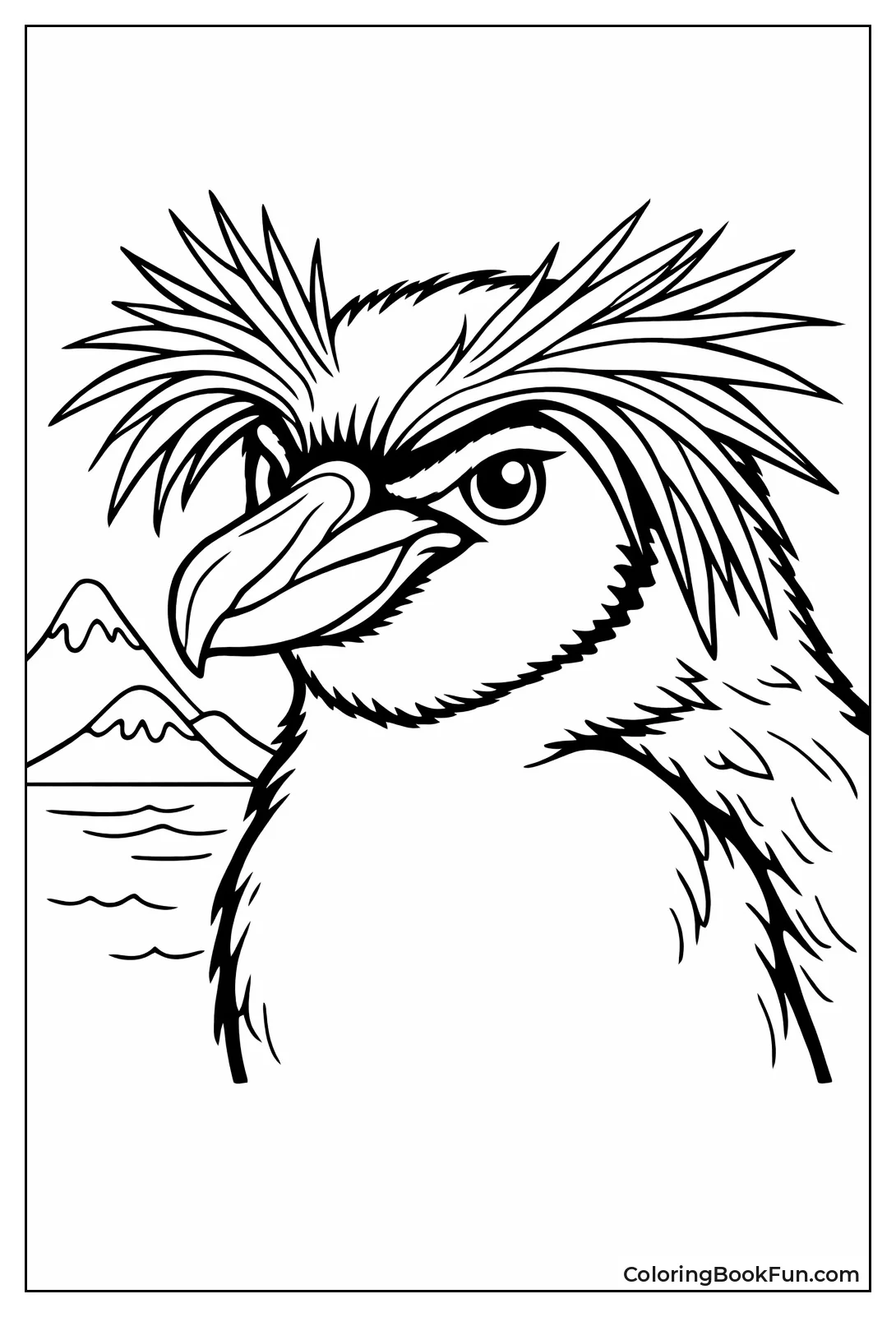 Macaroni Penguin Portrait