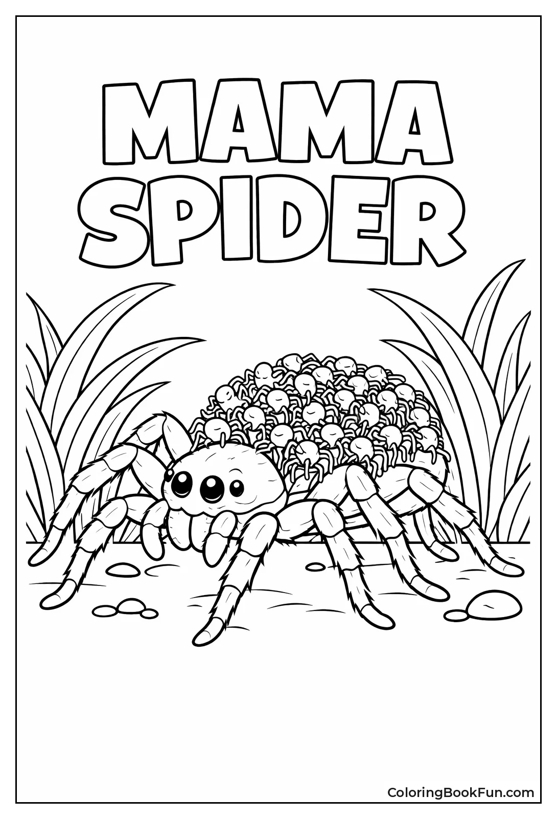 Mama Spider Carries Baby Spiders