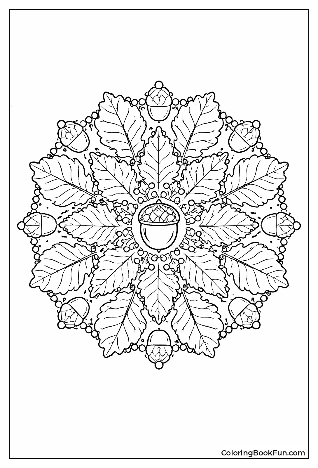 Leaves Spiral from Acorn