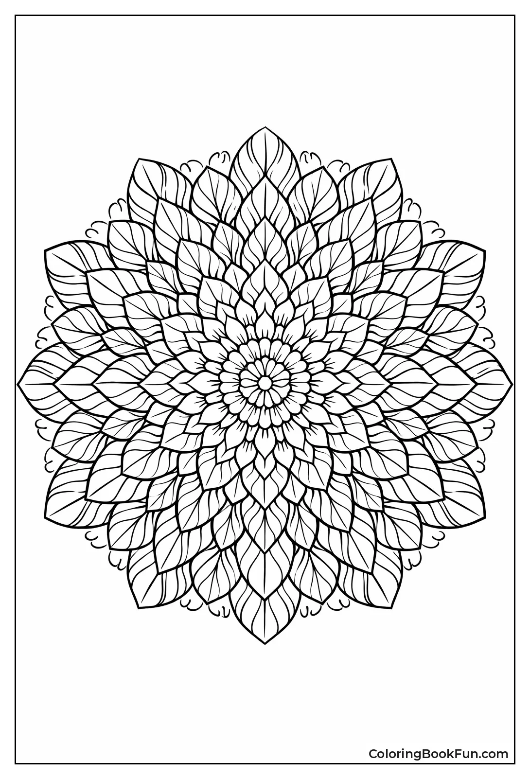 Feathers Plume in Layers