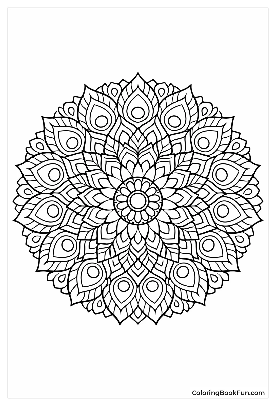 Peacock Feathers Fan Wide