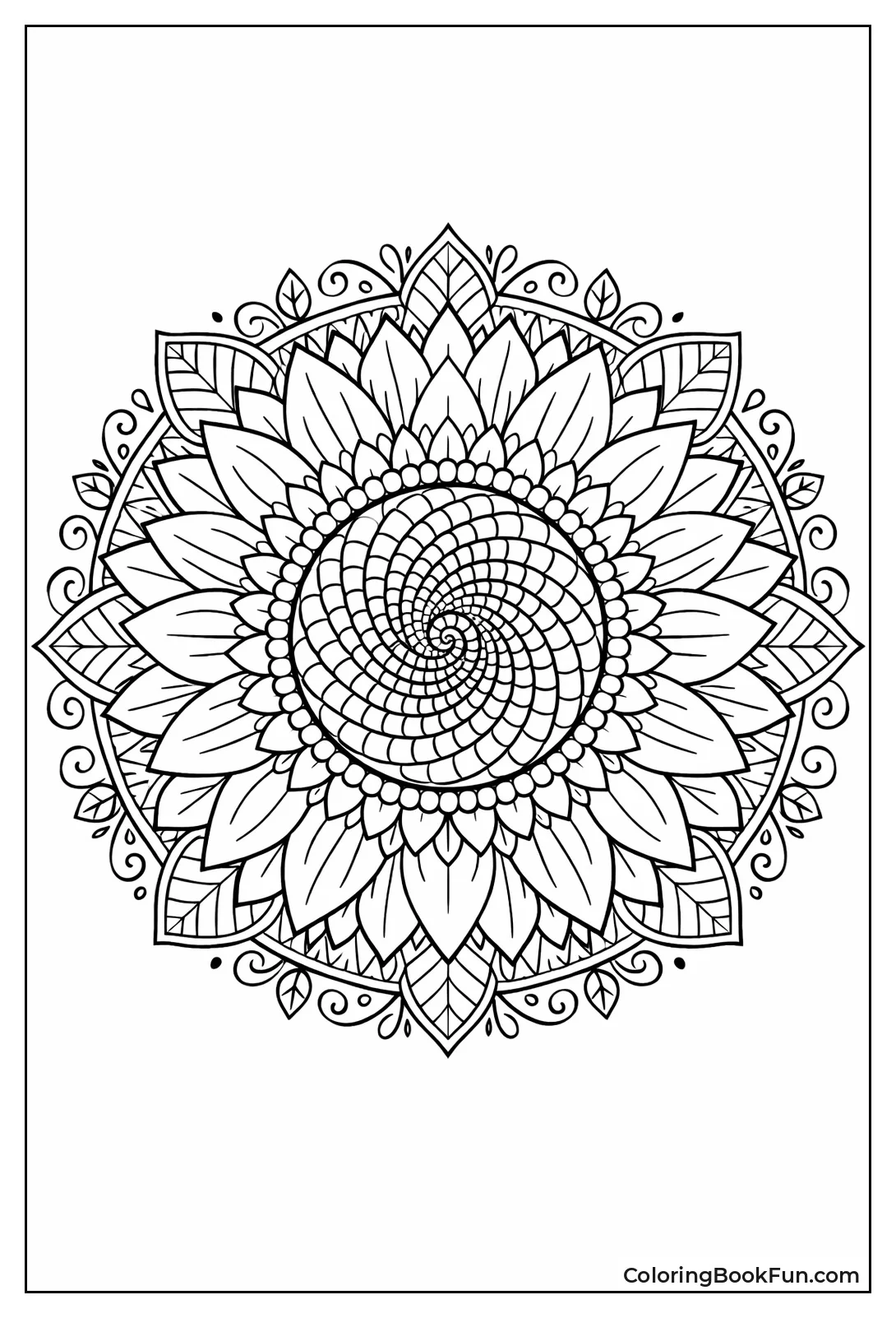 Sunflower Seeds Spiral Out