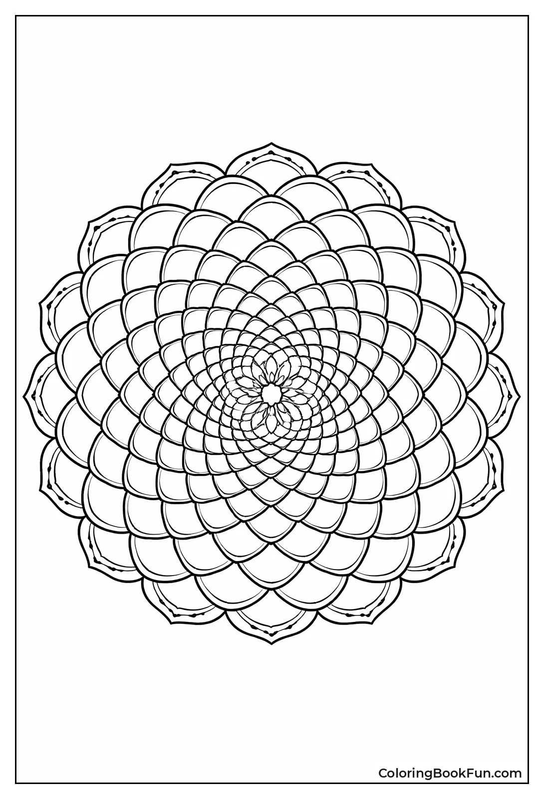 Scales Tessellate Fish Like