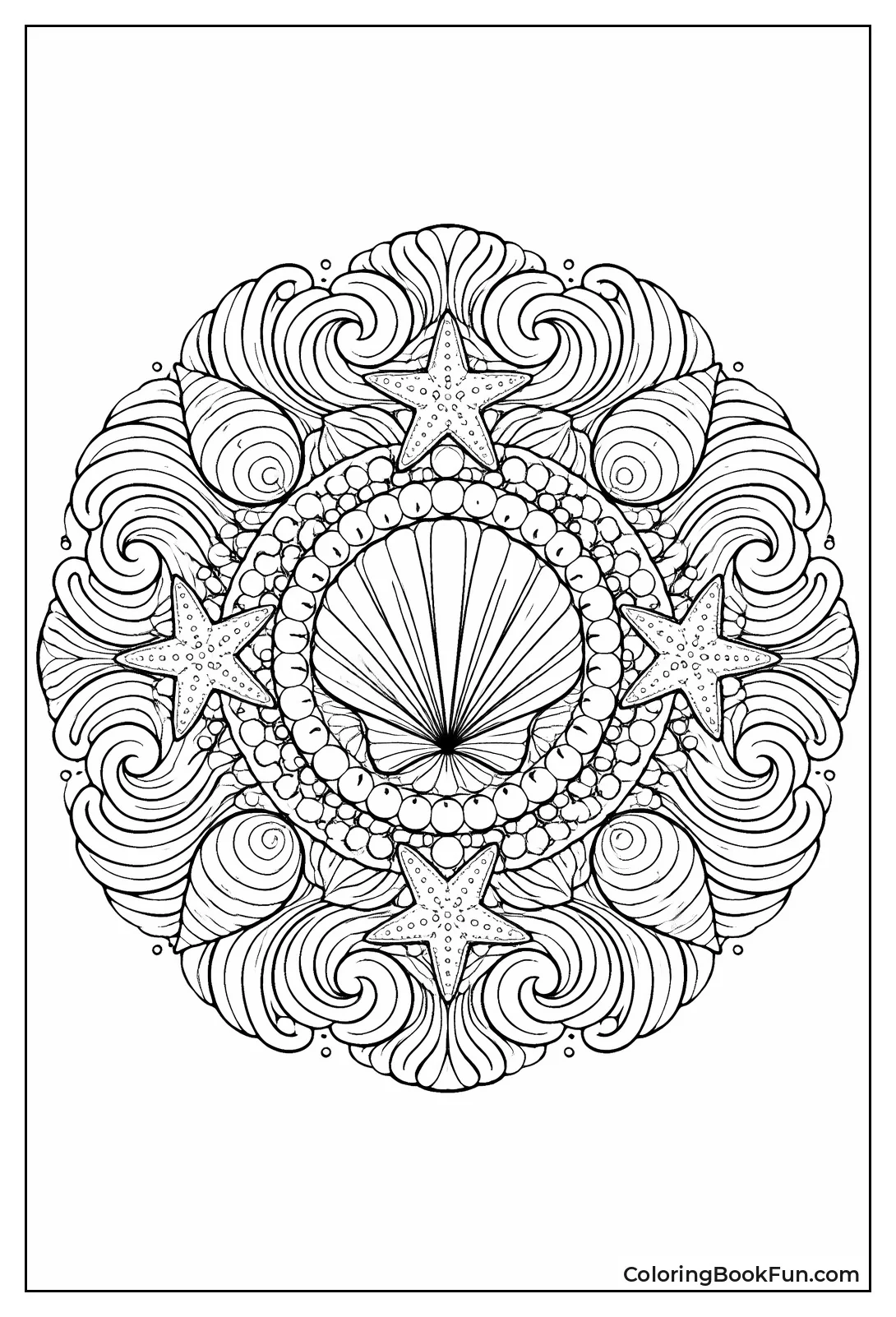 Waves Carry Ocean Shells