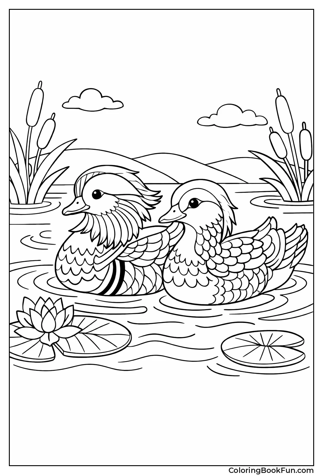 Mandarin Ducks Swimming Pair