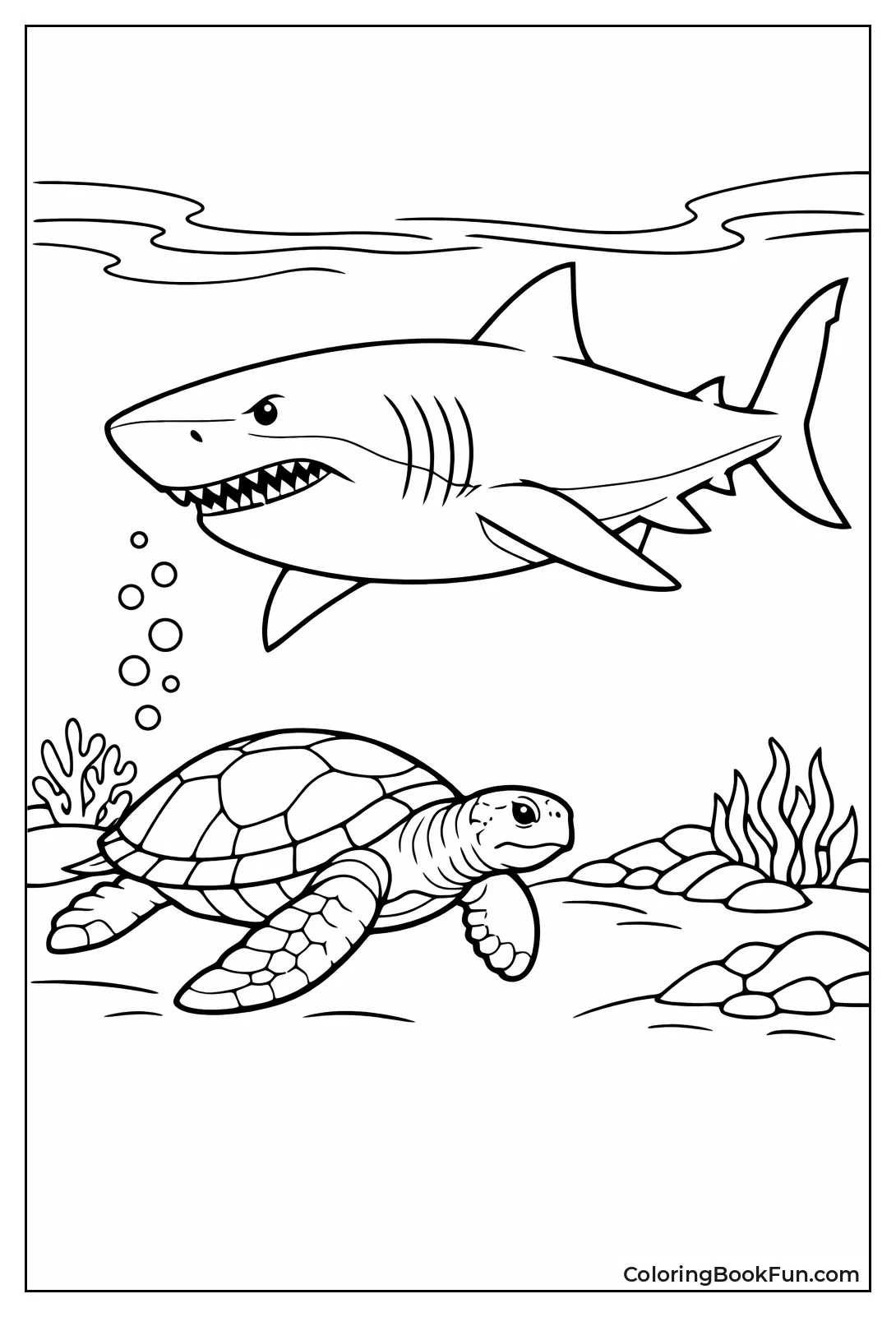 Megalodon Passes Sea Turtle
