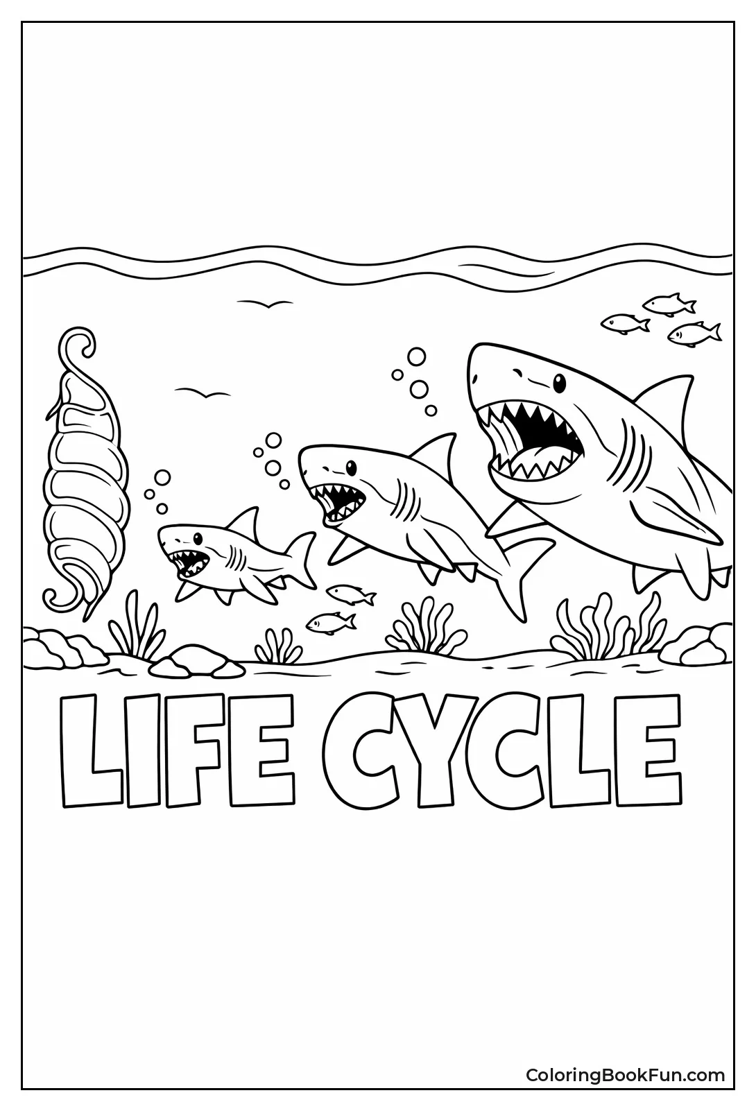 Megalodon Life Cycle Stages