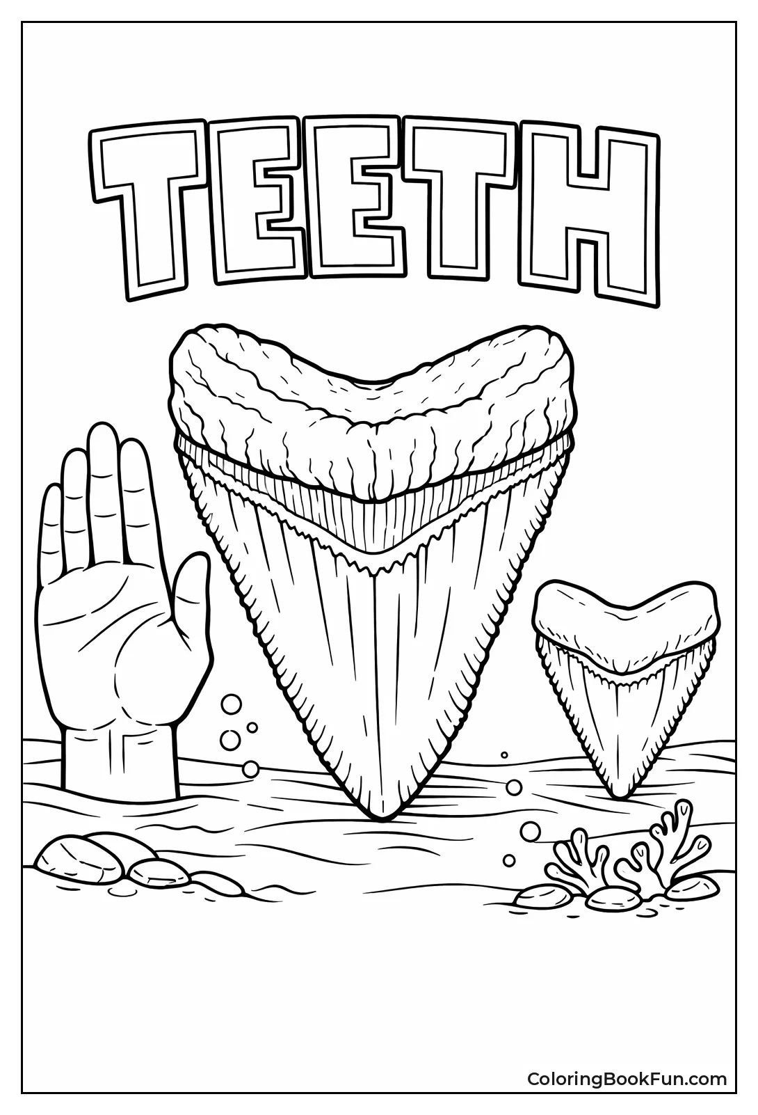 Megalodon Tooth Beats Hand