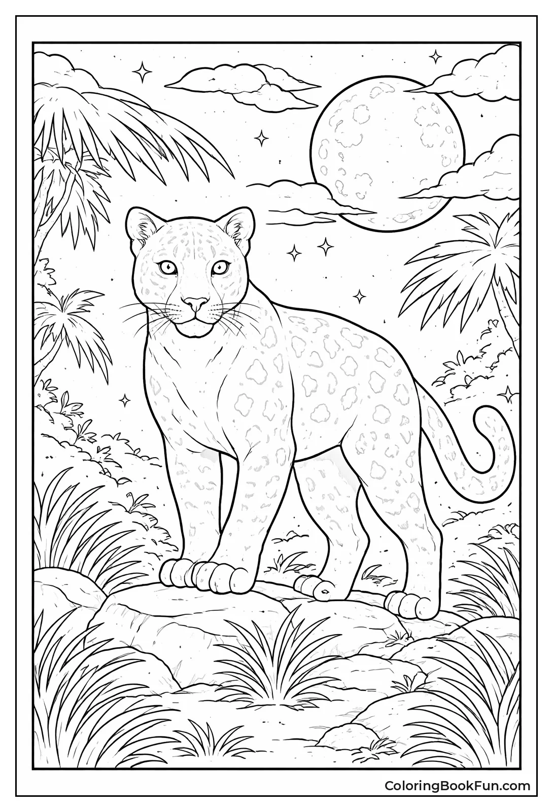 Black Leopard under Moonlight