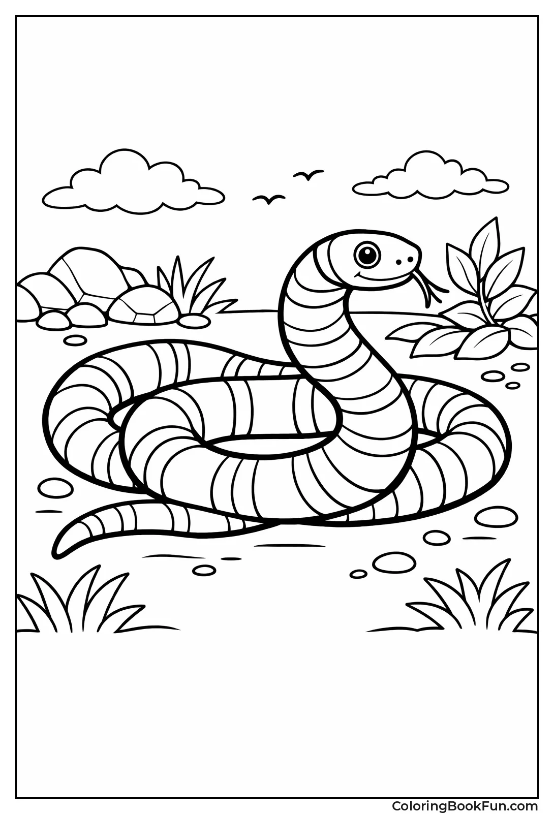 Colorful Milk Snake Bands